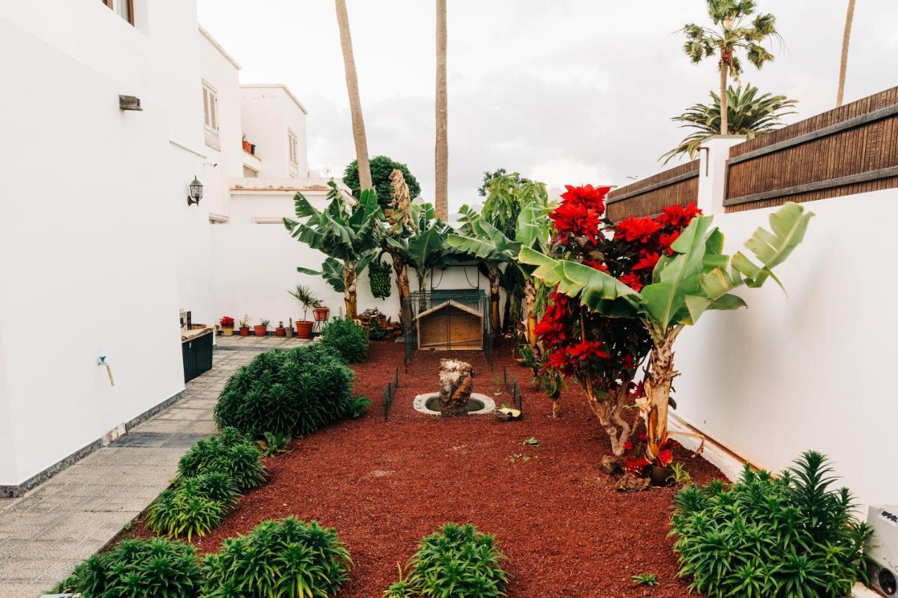 La Palmera - Fabulosa Casa, Lanzarote, Playa Honda Playa Honda  Exteriör bild