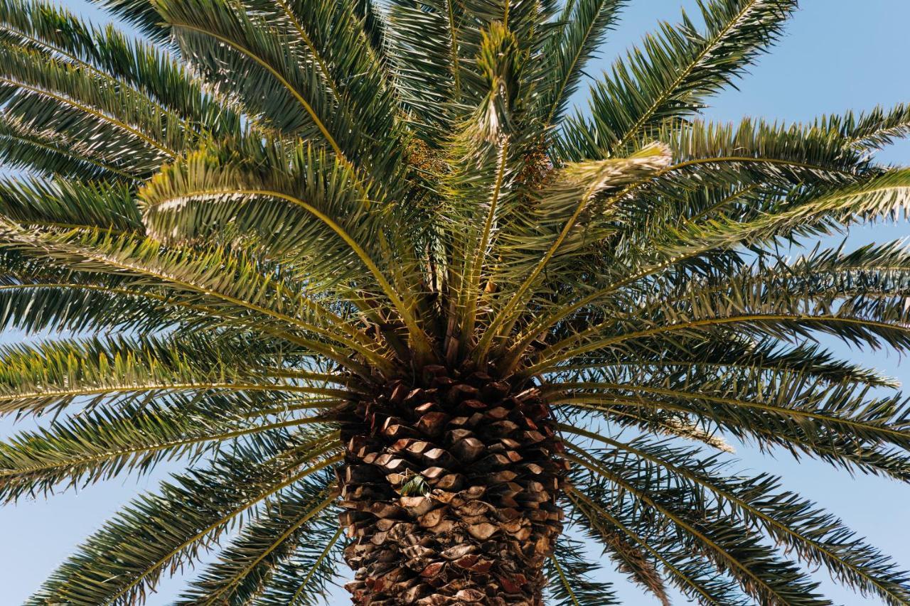 La Palmera - Fabulosa Casa, Lanzarote, Playa Honda Playa Honda  Exteriör bild